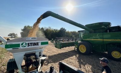 Stine Seed Leverages Agmatix to Drive Product Development and Sales with Local Insights
